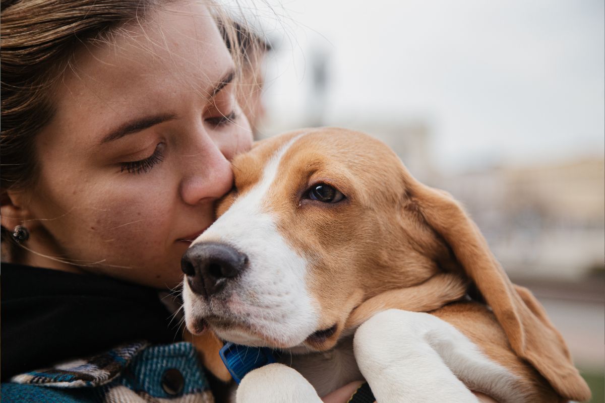 Counselling & Psychotherapy-Pet loss grief